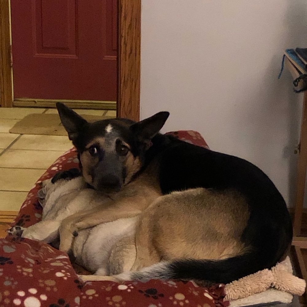 Meet your Posher, Barbara